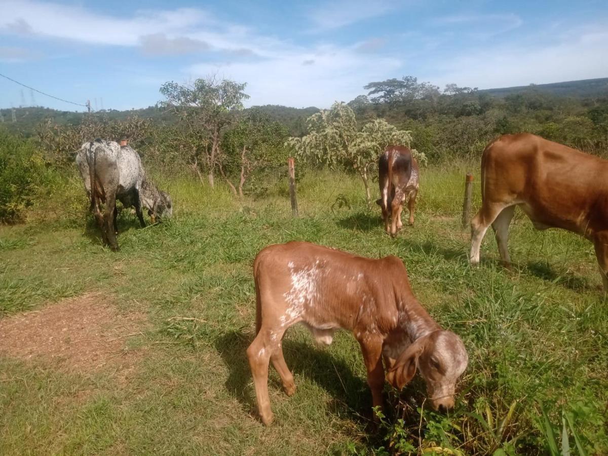 Chale Aconchegante, Pertinho Da Cidade E Conectada A Natureza Brasília Exterior photo